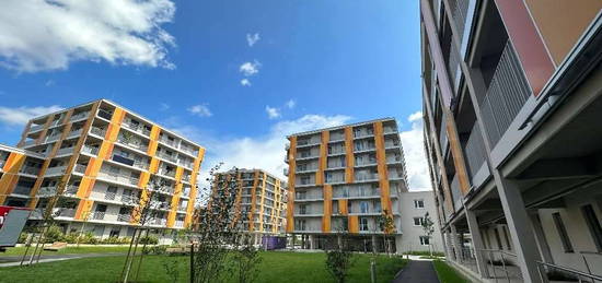 Zu vermieten: Neubau-Wohnung inkl. Parkplatz (TG), Graz Reininghaus, provisionsfrei, von privat