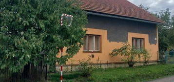 Rodinný dům, 150 m² + 1605 m² pozemek, Rybí