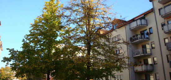 Hübsche, kleine Wohnung zum Selbstnutzen oder Vermieten