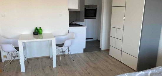 Schönes frisch renoviertes Apartment mit Wintergarten in Ludwigshafen