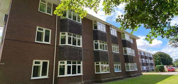 1 bed flat to rent