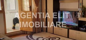 Apartament 2 camere, zona Ale. Nucului