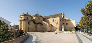 Chalet en Alhama de Granada