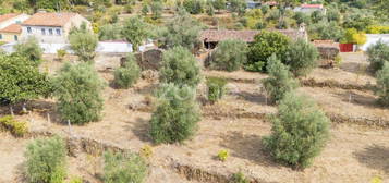 Quinta em Castelo de Bode