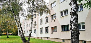 Prodej bytu 3+1 79 m²