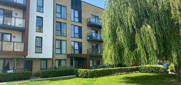 1 bed flat to rent