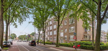 Goudenregenstraat 305