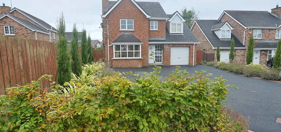 5 Breagh Hill, Portadown, Craigavon, BT63 5QP