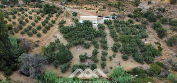 Finca rústica en venta en Alcaucín