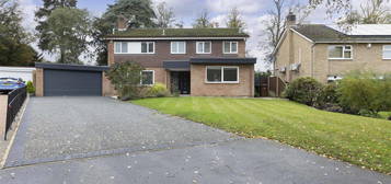 Detached house to rent in Cringleford Chase, Cringleford, Norwich NR4